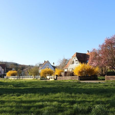 Romantik-Home Nordelsass - Ferienwohnung Fuer Selbstversorger Oberhoffen-les-Wissembourg Exteriör bild