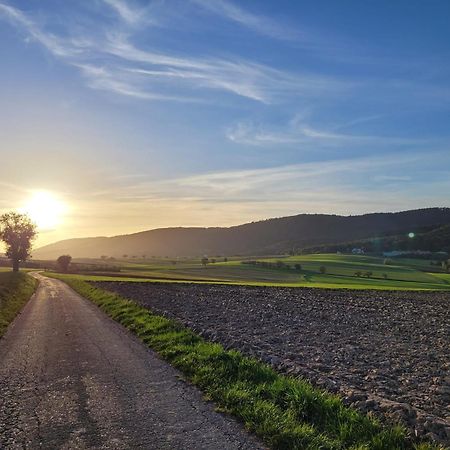 Romantik-Home Nordelsass - Ferienwohnung Fuer Selbstversorger Oberhoffen-les-Wissembourg Exteriör bild