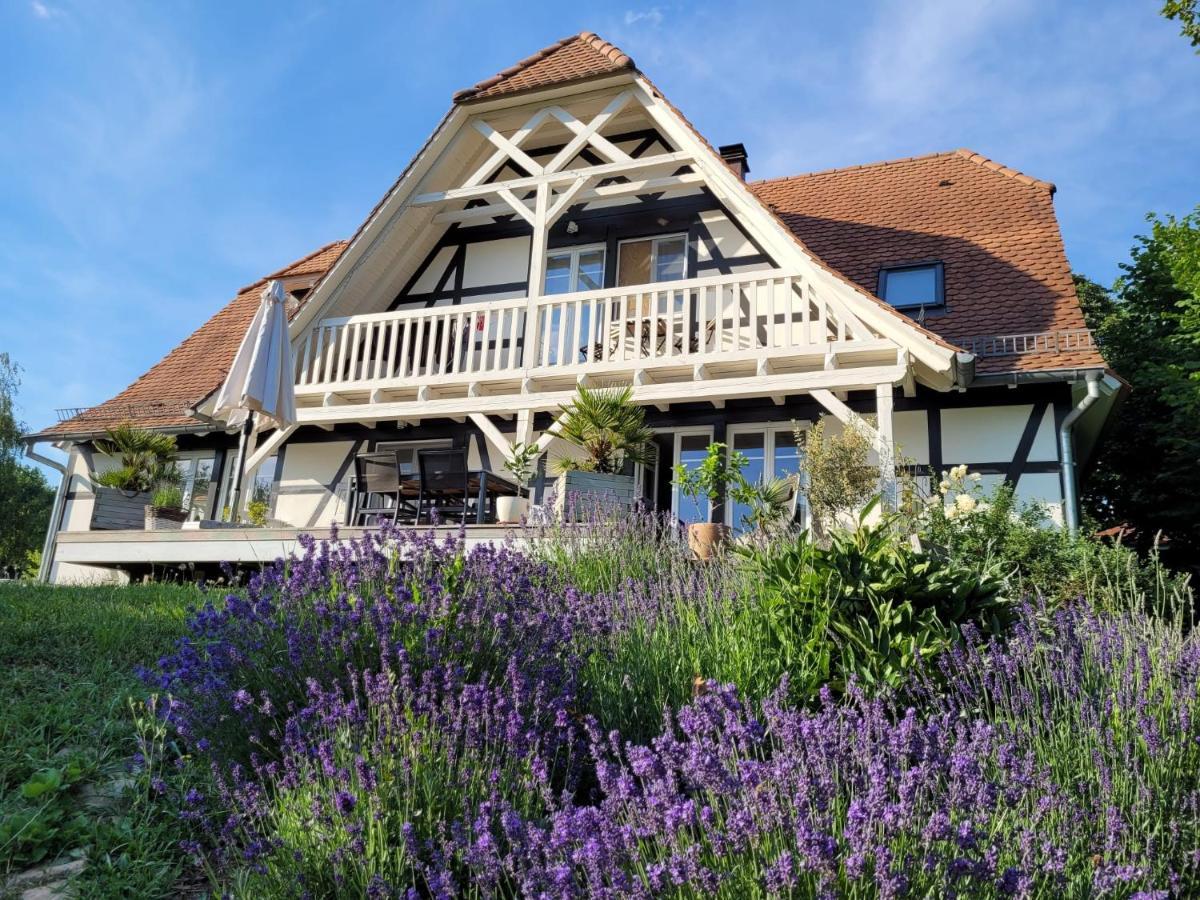 Romantik-Home Nordelsass - Ferienwohnung Fuer Selbstversorger Oberhoffen-les-Wissembourg Exteriör bild