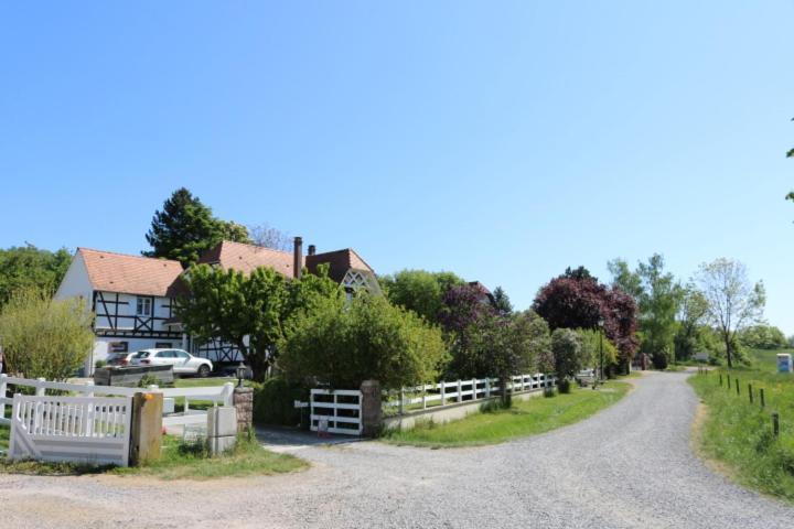 Romantik-Home Nordelsass - Ferienwohnung Fuer Selbstversorger Oberhoffen-les-Wissembourg Exteriör bild